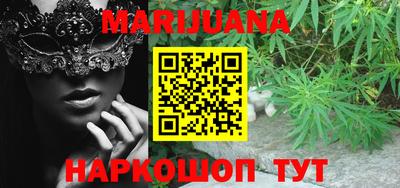 крисы Новозыбков