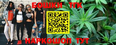 крисы Новозыбков