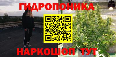 сатива Новодвинск