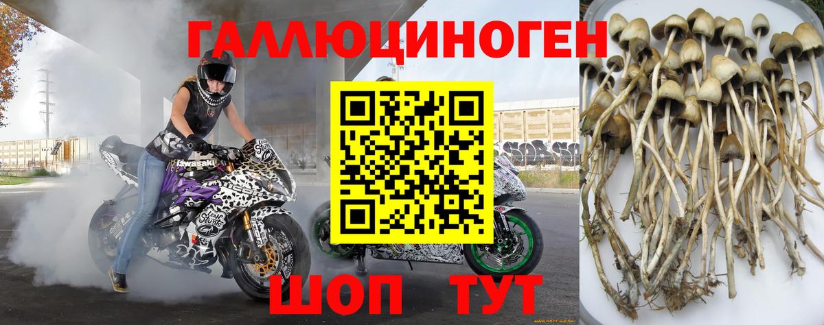 Тимашёвск  Галлюциногенные грибы Magic Shrooms  Вход с VPN 